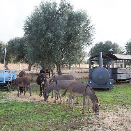 Masseria Grande Taurisano Exterior foto